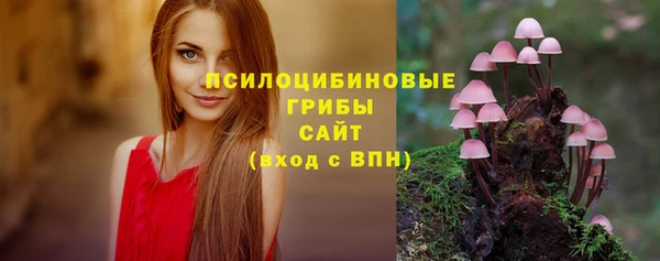 тгк Краснослободск