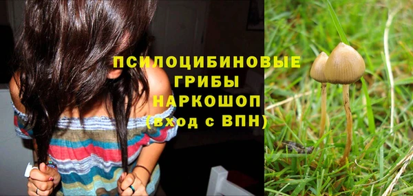 гашик Куйбышев