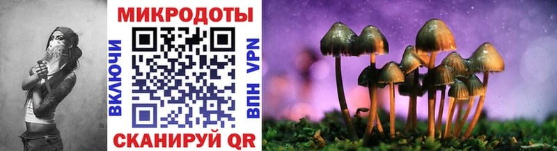 Галлюциногенные грибы Psilocybine cubensis  это клад  Саратов 